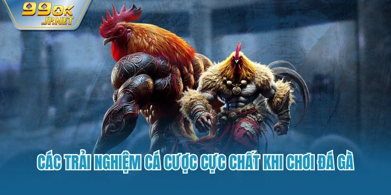 Các trải nghiệm cá cược cực chất khi chơi đá gà