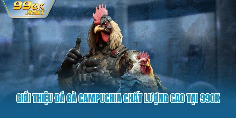 Giới thiệu đá gà Campuchia chất lượng cao tại 99OK