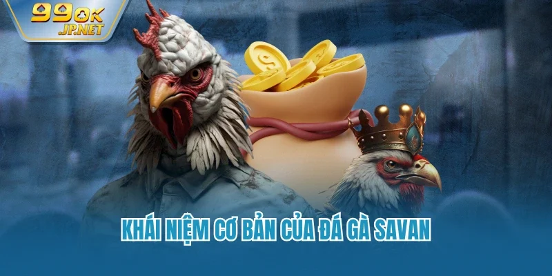 Khái niệm cơ bản của đá gà Savan