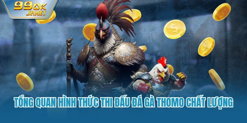 Tổng quan hình thức thi đấu đá gà thomo chất lượng
