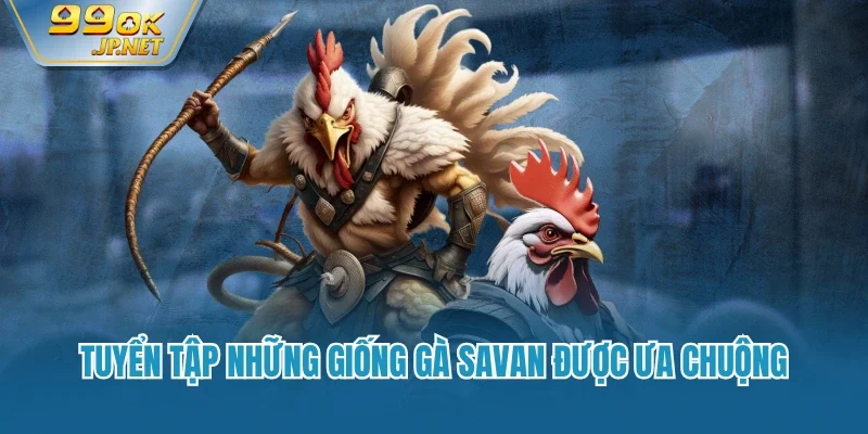 Tuyển tập những giống gà Savan được ưa chuộng